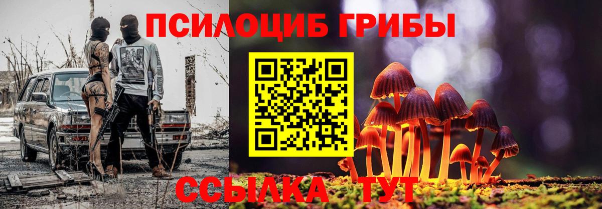 Ухта  Галлюциногенные грибы мухоморы  Вход с VPN 