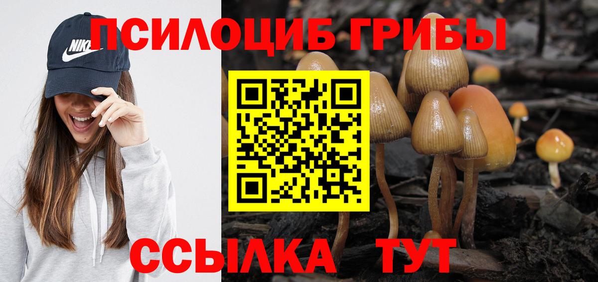 Псилоцибиновые грибы ЛСД Ухта